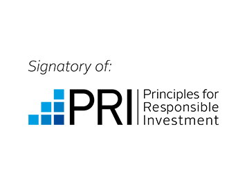Logo PRI mit blauen Kästen